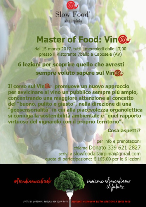 master-of-food-vino_web